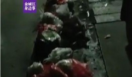 河池市网友爆料事件最新,惊曝某事件背后惊人内幕！