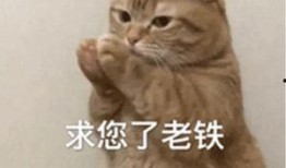 最新狗仔爆料图片表情包,最新爆料图片表情包大揭秘！