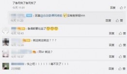 年度版本最新爆料,颠覆性创新与未来科技前瞻